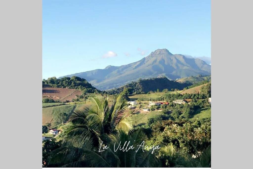 Villa Auya Entre Mer Et Montagne ル・カルベ エクステリア 写真